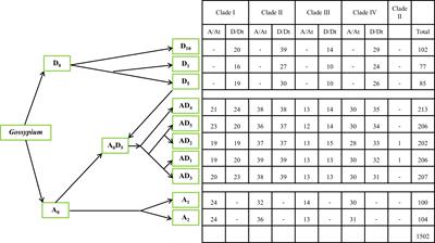 The binding pocket properties were fundamental to functional diversification of the GDSL-type esterases/lipases gene family in cotton